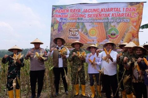 Bulog Komitmen Serap Seluruh Produksi Jagung Petani Blora untuk Pakan dan Bioetanol