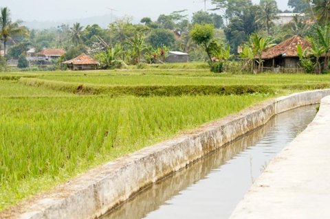 Kementan dan KemenPU Sinergi Optimalkan Pengelolaan Air Antisipasi Kekeringan di Jateng