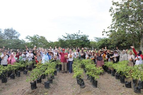 Gubernur Hidayat Arsani Pimpin Panen Cabai Program Gencar, Perkuat Ketahanan Pangan Babel