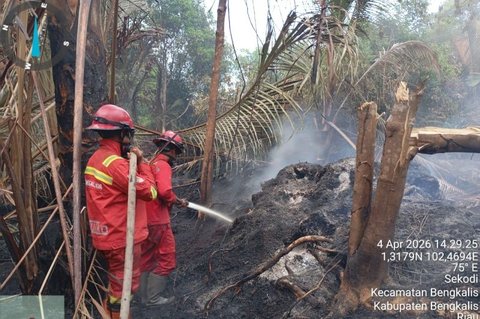 Manggala Agni Berjibaku Padamkan Karhutla Bengkalis Riau di Lima Desa