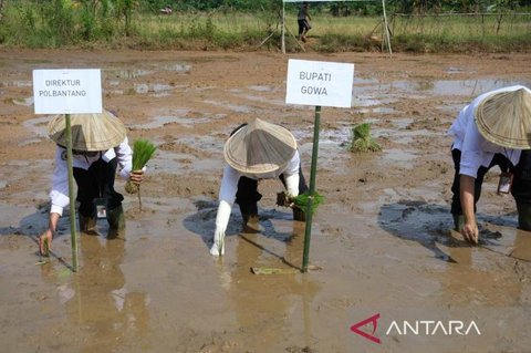 Pemkab Gowa Optimalkan Program Cetak Sawah, Perkuat Swasembada Pangan Nasional