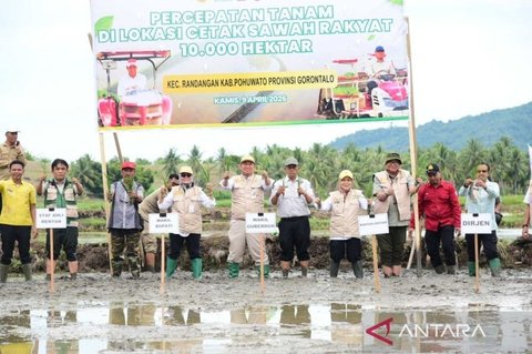 Wagub Gorontalo Idah Syahidah Turun Langsung Cetak Sawah Rakyat, Dorong Ketahanan Pangan Nasional