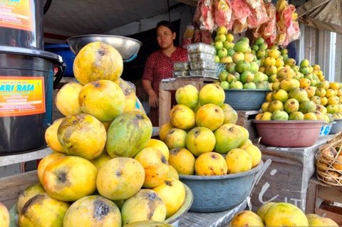 Pemkab Sumedang Genjot Pengembangan Hortikultura Mangga dan Cabai Melalui Program HDDAP