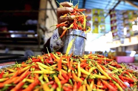 Update Terbaru: Harga Pangan Nasional, Cabai Rawit Merah dan Telur Ayam Melonjak Tinggi