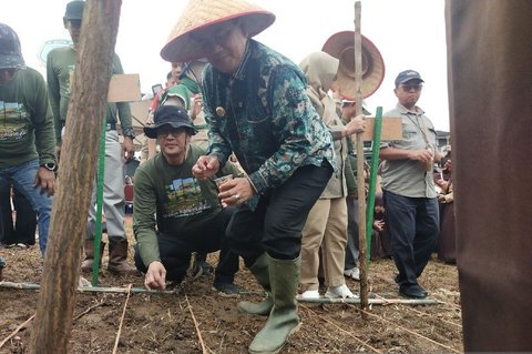 Pemkot Jambi Optimalkan Lahan Tidur Dukung Ketahanan Pangan Nasional