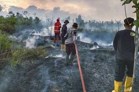 Perjuangan Sunyi di Perbatasan: Penanganan Karhutla Natuna Hadapi Tantangan El Nino