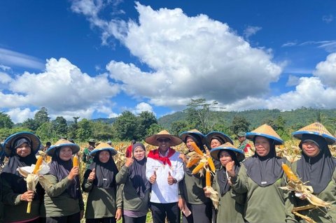 Maluku Tengah Perkuat Swasembada Pangan, Panen Jagung di Tehoru Jadi Bukti Nyata