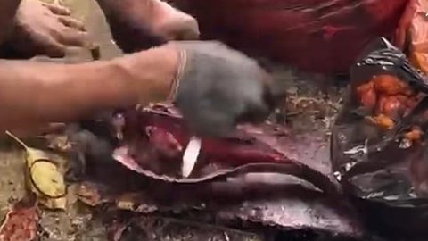 Warga Penangkap Ikan Sapu-Sapu di Kali Pasar Baru: Perkilo Dijual Rp15.000 ke Penampung