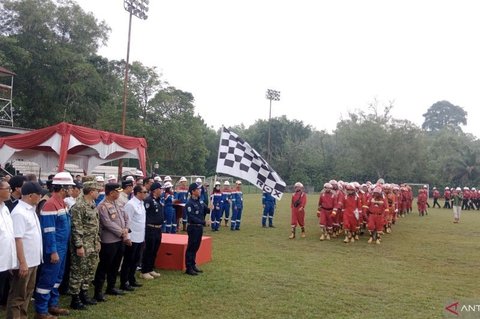 Kementerian Lingkungan Hidup Identifikasi Tujuh Titik Api Gambut Rawan Karhutla di Riau