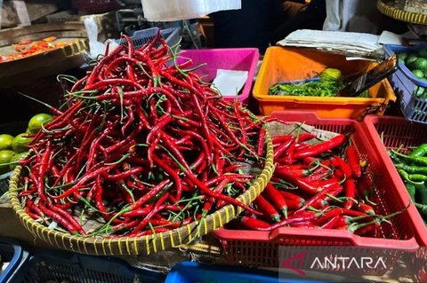 PIHPS Catat Kenaikan Harga Pangan: Cabai Rawit Tembus Rp60.000/kg, Telur Ayam Rp31.000/kg