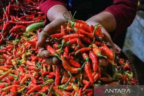 Harga Pangan Nasional Terkini: Cabai Rawit Tembus Rp65 Ribu, Telur Ayam Rp31 Ribu per Kg