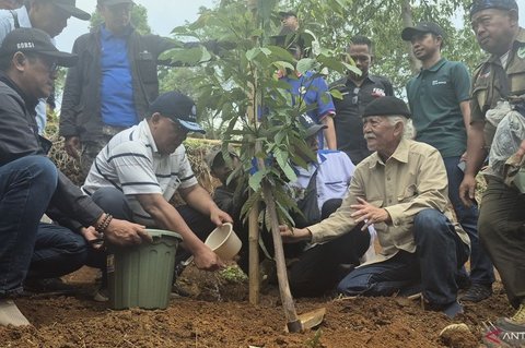 Kementerian Lingkungan Hidup Gandeng Buruh Hijaukan Hulu Bandung dengan 12.000 Pohon