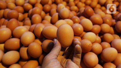 10 Cara Menyimpan Telur Agar Tetap Segar, Awet, dan Aman Dikonsumsi Jangka Panjang