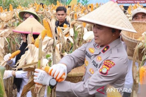 Polda Metro Jaya Perkuat Ketahanan Pangan Nasional Melalui Panen Jagung dan SPPG