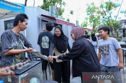 OIKN Gandeng Komunitas Hadirkan Pameran Reptil IKN, Edukasi Satwa Eksotis di Nusantara Park