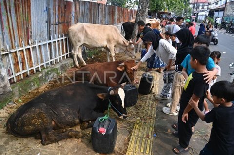 KPKP DKI Perketat Monitoring Hewan Kurban Jelang Idul Adha 2026