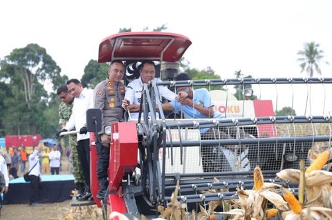 Petani OKU Selatan Panen Raya Jagung 30 Ton, Perkuat Ketahanan Pangan Nasional