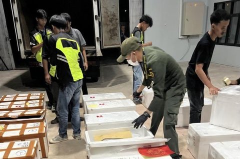 Ekspor Kepiting Tarakan Langsung ke Hong Kong Dorong Efisiensi dan Ekonomi Kaltara