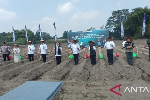 Jatim Komitmen Jadi Garda Terdepan Penguatan Industri Gula Nasional, Targetkan Swasembada
