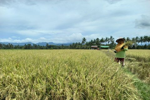 BI Perkuat Ketahanan Pangan Sulut Melalui Pemberdayaan Petani dan UMKM