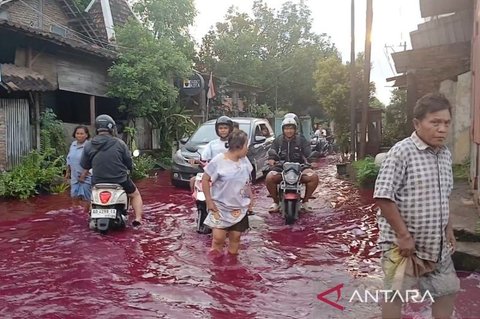 Tanggul Sungai Godo Jebol, Banjir Pati Meluas Rendam Puluhan Rumah Warga