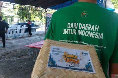 Sultan B Najamudin Kurban Enam Sapi di Bengkulu, Tekankan Edukasi Lingkungan