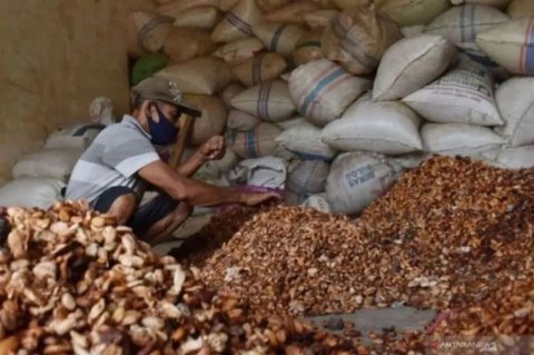 Harga Biji Kakao Melonjak Akibat Penutupan Selat Hormuz dan Penurunan Suplai