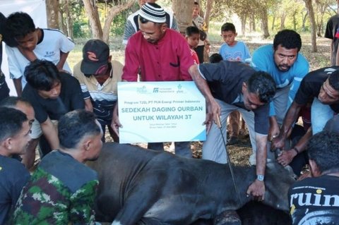 PLN EPI Salurkan 1.000 Paket Daging Kurban ke Wilayah 3T Maluku dan NTT, Hadirkan Kebahagiaan Idul Adha