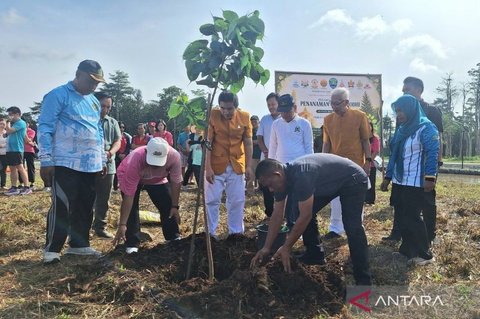 Rayakan Tri Suci Waisak 2570 BE, Umat Buddha Bulungan Tanam Pohon Bodhi di Kebun Raya Bundayati