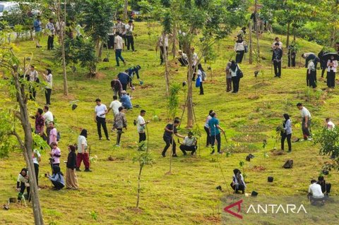 Otorita IKN dan Perbanas Perkuat Penghijauan dengan Penanaman 1.153 Pohon di Kawasan Inti