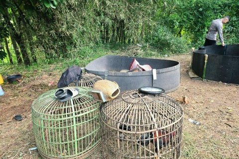Polisi Bongkar Praktik Judi Sabung Ayam Garut, Amankan Sejumlah Barang Bukti