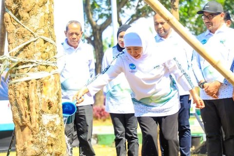 Khofifah Ajak Masyarakat Perkuat Gerakan Lingkungan Berkelanjutan di Hari Lingkungan Hidup 2026