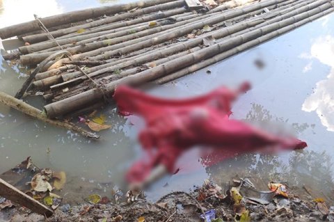 Tim SAR Evakuasi Penemuan Mayat Perempuan Mengapung di Sungai Enim, Identitas Masih Misteri