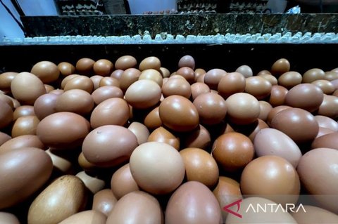 PIHPS Rilis Data Terkini: Harga Pangan Nasional, Telur Ayam Capai Rp30.100/Kg dan Bawang Merah Rp55.450/Kg