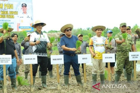 HSU Perluas Lahan Tanam Padi 1.362 Hektare, Perkuat Ketahanan Pangan Nasional