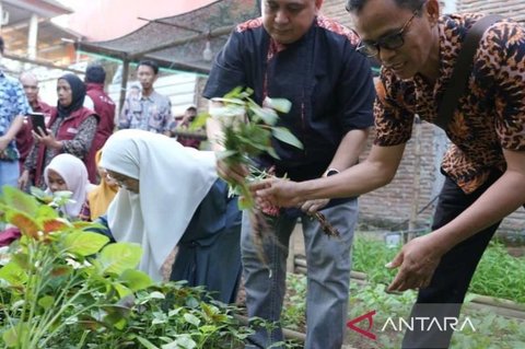 Wali Kota Makassar Ajak Warga Manfaatkan Urban Farming untuk Ketahanan Pangan