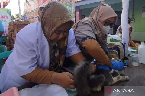 Pemkab Demak Intensifkan Vaksinasi Rabies Gratis untuk Hewan Peliharaan, Jaga Wilayah Bebas Rabies