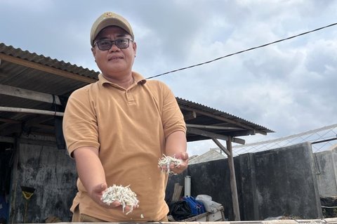 Pengrajin Ikan Asin Lampung Selatan Jaga Kualitas dan Inovasi Demi Perluas Pasar Global