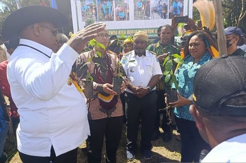 Pemkab Jayawijaya Gencarkan Budidaya Kopi Jayawijaya, Dongkrak Ekonomi Warga Papua Pegunungan