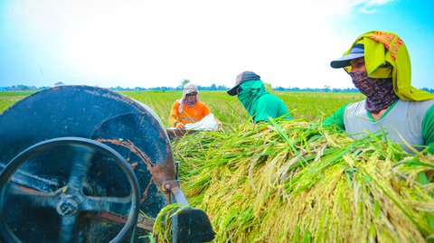 Sektor Pertanian Tumbuh 5,3 Persen Akhir 2025, Ekonom: Produk Pertanian Terserap SPPG