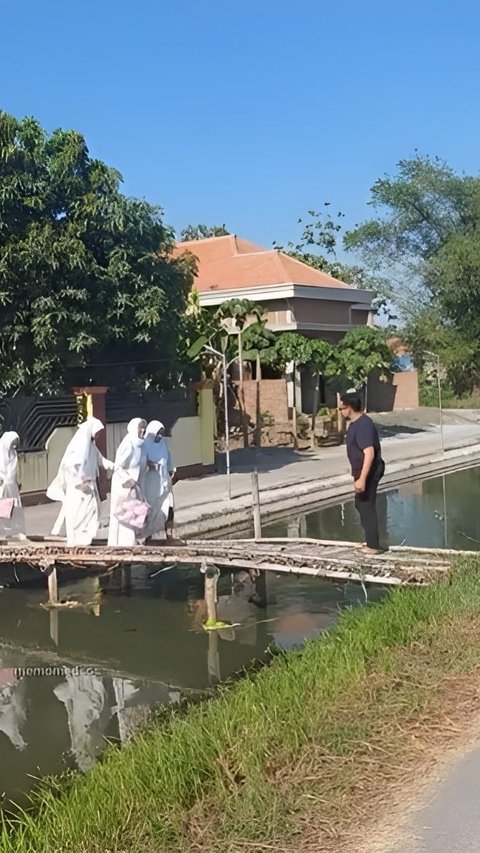 Detik-detik Jembatan Kayu yang Dilewati Emak-emak Mendadak Ambruk