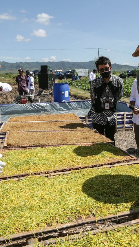 Pengaturan Produk Tembakau dalam RPP Kesehatan Bisa Berdampak ke Industri Kreatif, Kok Bisa?