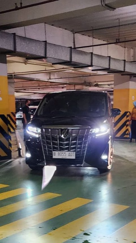 Alphard Syahrul Yasin Limpo Dicicil dari 'Setoran' Anak Buah Tak Terdaftar di LHKPN