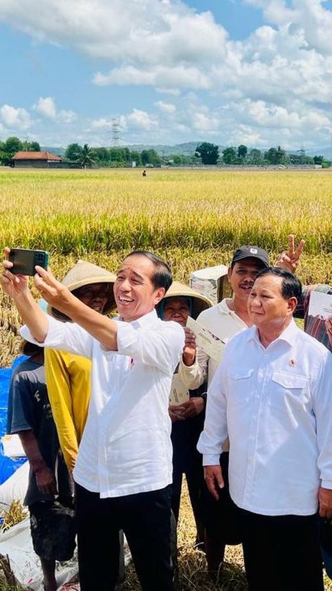 Jokowi soal Harga Beras Mahal: Semua Petani Senang