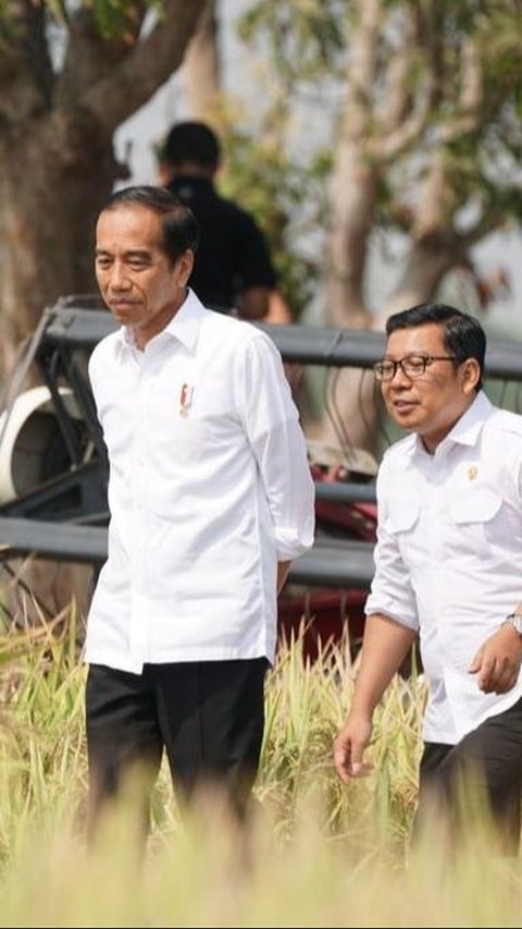 Setelah Subang, Plt Mentan Dampingi Presiden Jokowi Panen Raya di Indramayu