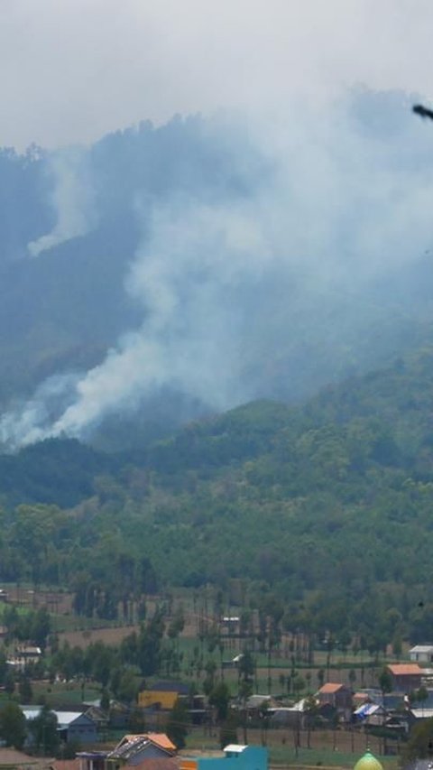 Kebakaran Hutan Muncul di Lereng Gunung Semeru