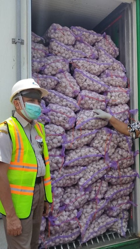 Mulai 2024, Kementan Batasi Impor Bawang Putih Maksimal 650 Ton per Importir