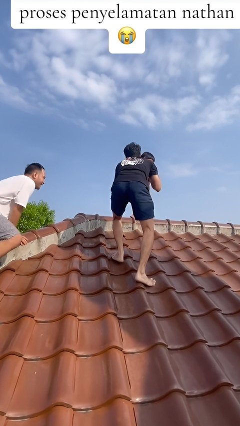 Causing Panic, Boy Climbs on Roof of House After Watching Cartoon