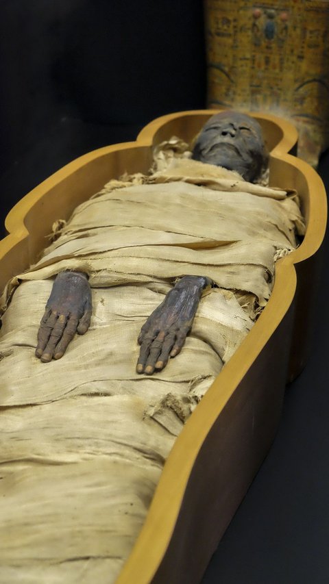 8 Fun Facts About Mummies That Will Haunt Your Night Journey