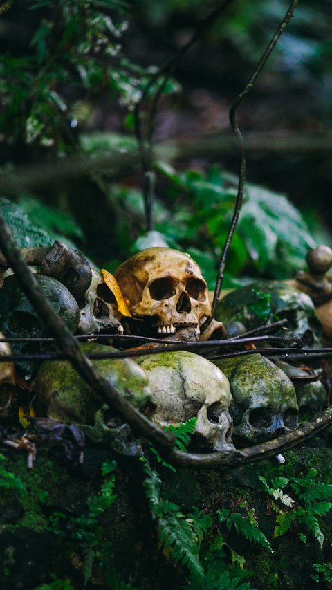 5 Haunted Places in Nepal: Explore Beyond the Himalayas